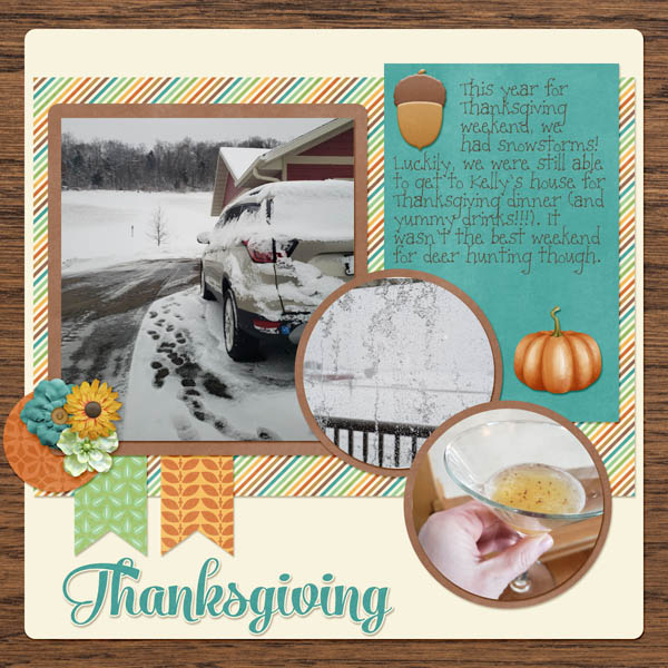 Thanksgiving Snow Storm