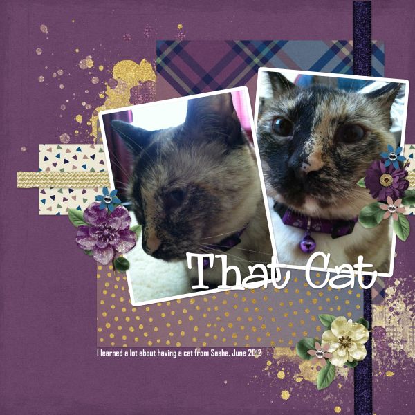That Cat