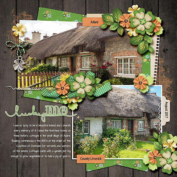 Thatched Rooves