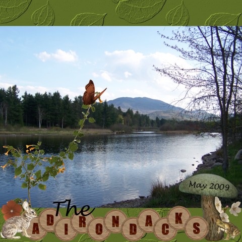 The Adirondacks
