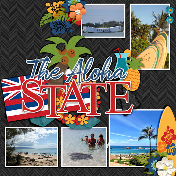 The-Aloha-State