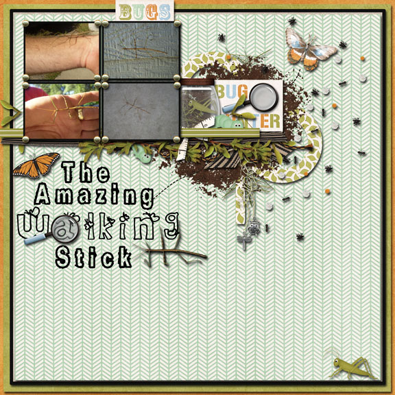 The Amazing Walking Stick