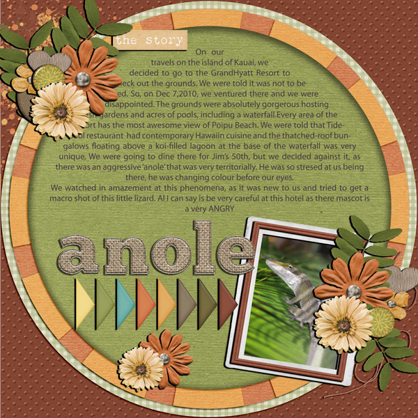 The Angry Anole