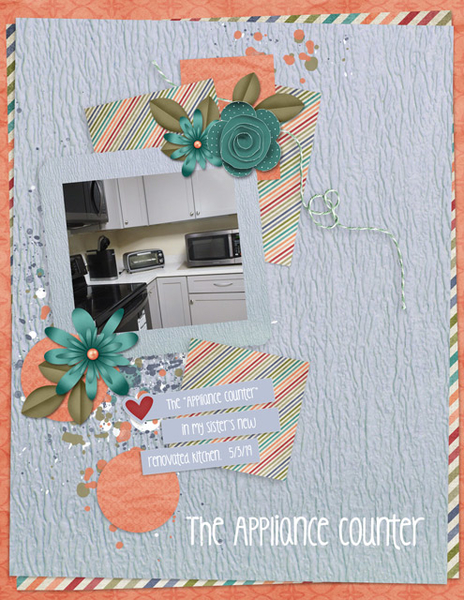 The Appliance Counter