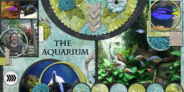 The Aquarium