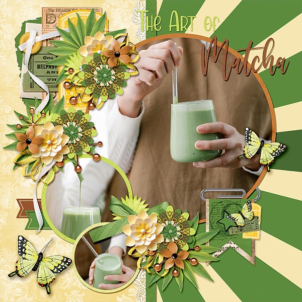 The Art of Matcha