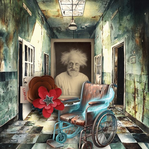 The Asylum