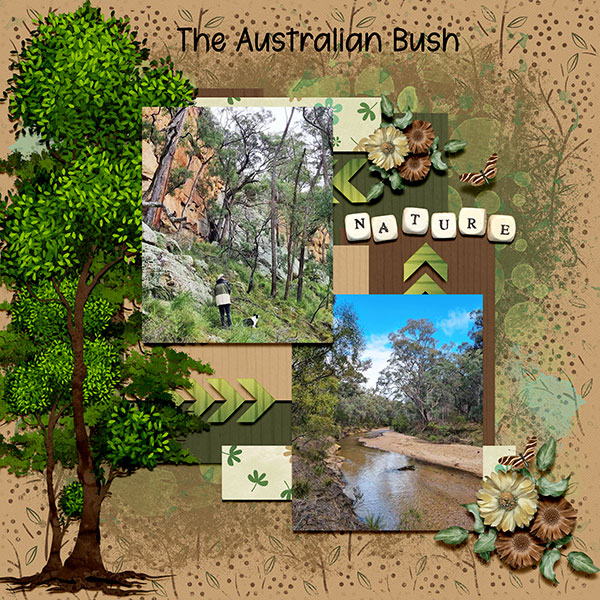 The Australian Bush