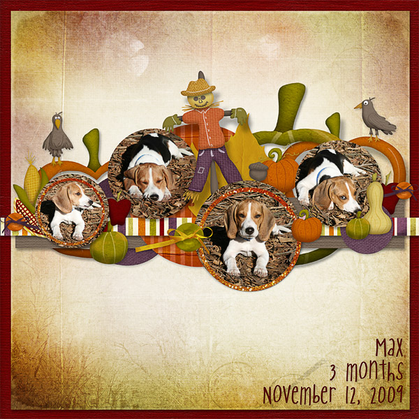 the autumn Max