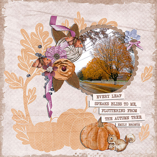 the autumn tree