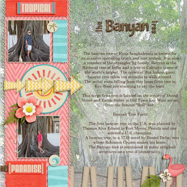 The Banyan Tree