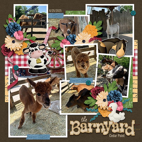the barnyard