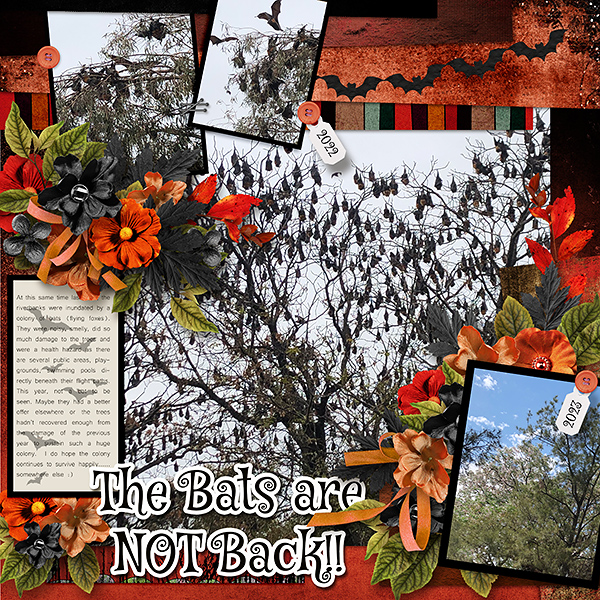 The Bats are NOT Back