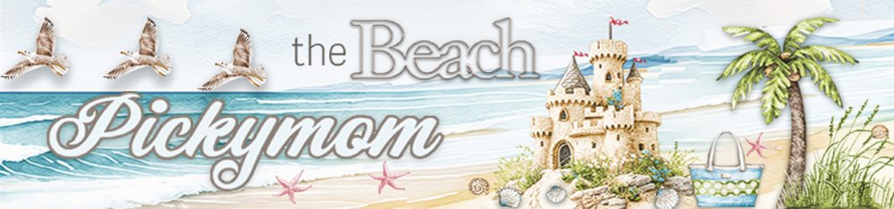 The Beach August Siggie