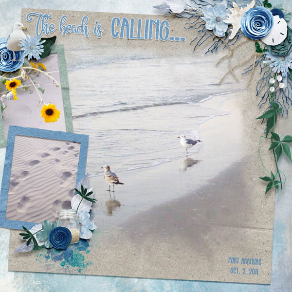 The Beach is Calling...