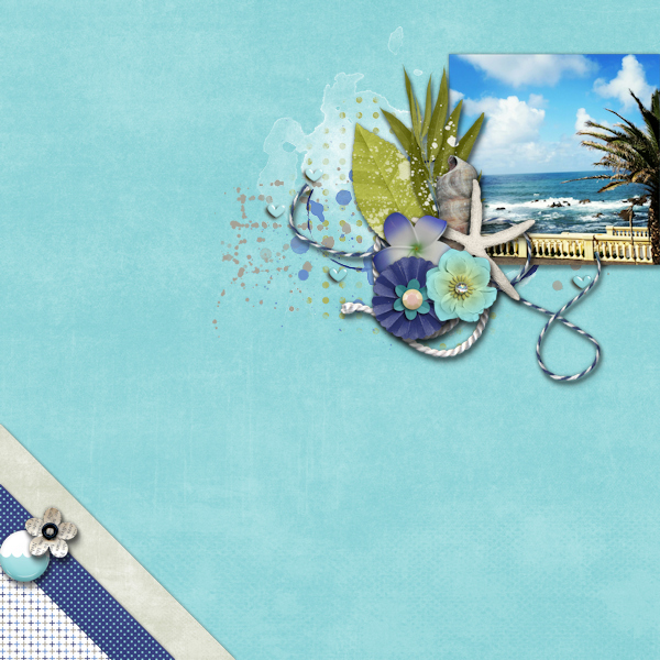 the beach