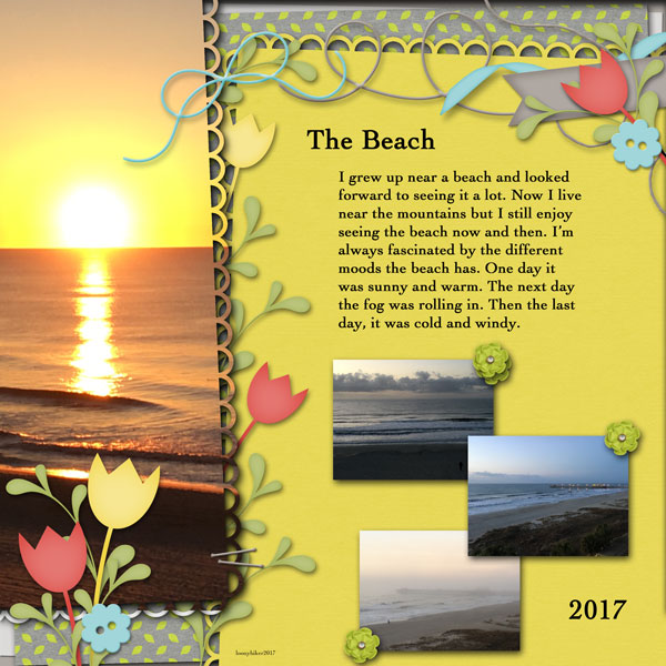 The Beach