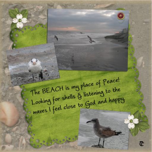The Beach