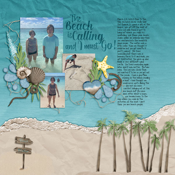 The Beach