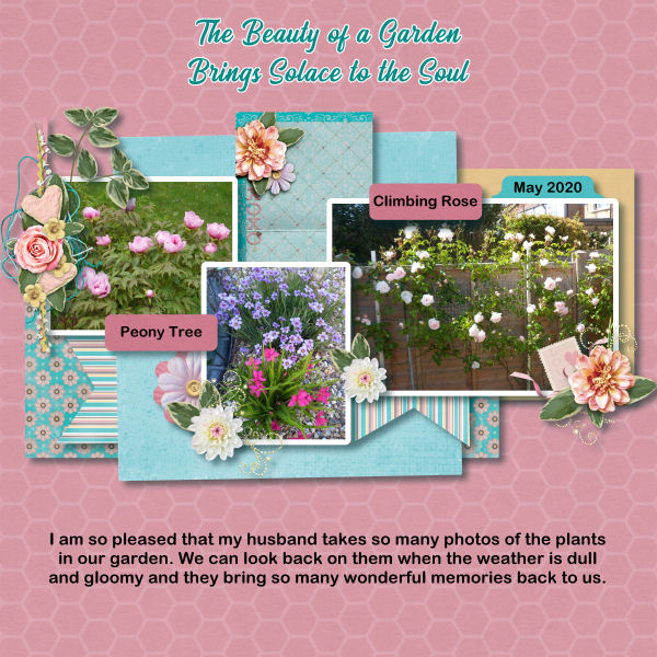 The beauty of a garden brings solace to the soul