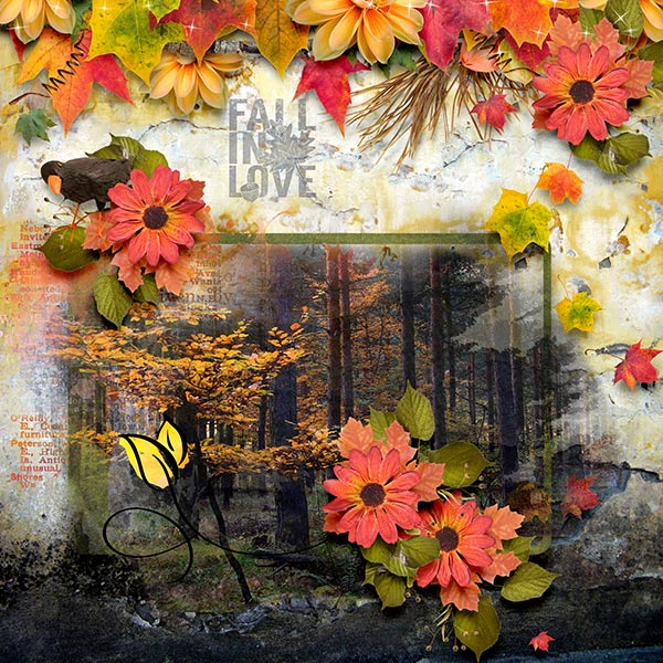 The Beauty of Autumn