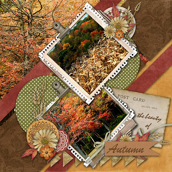 The Beauty of Autumn
