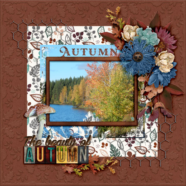 The-beauty-of-autumn1