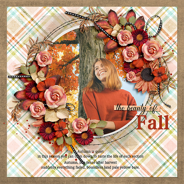 The Beauty of Fall