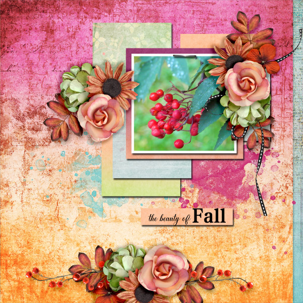 The-beauty-of-fall1