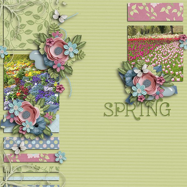 The beauty of spring