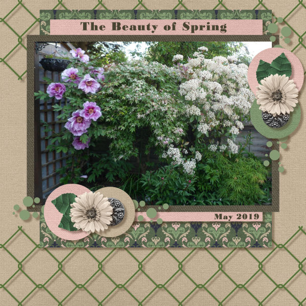 The Beauty of Spring