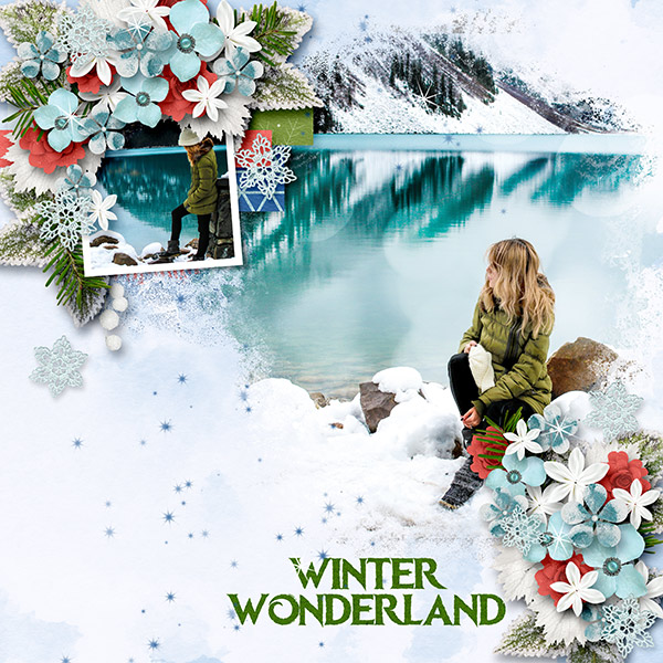 The Beauty of Winter