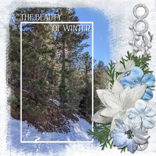 The Beauty of Winter
