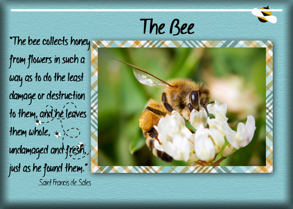 The Bee