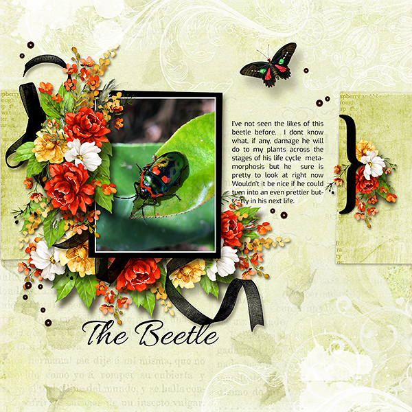 The Beetle