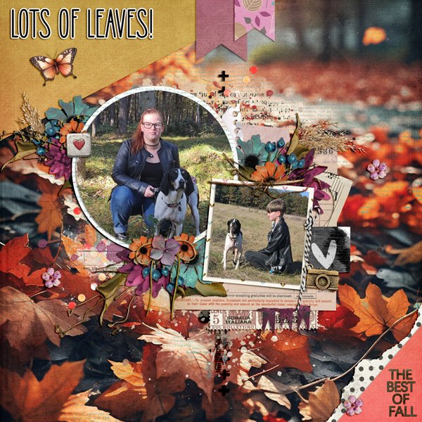 the best of fall