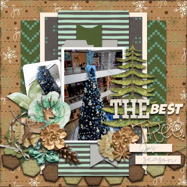 The Best Tree