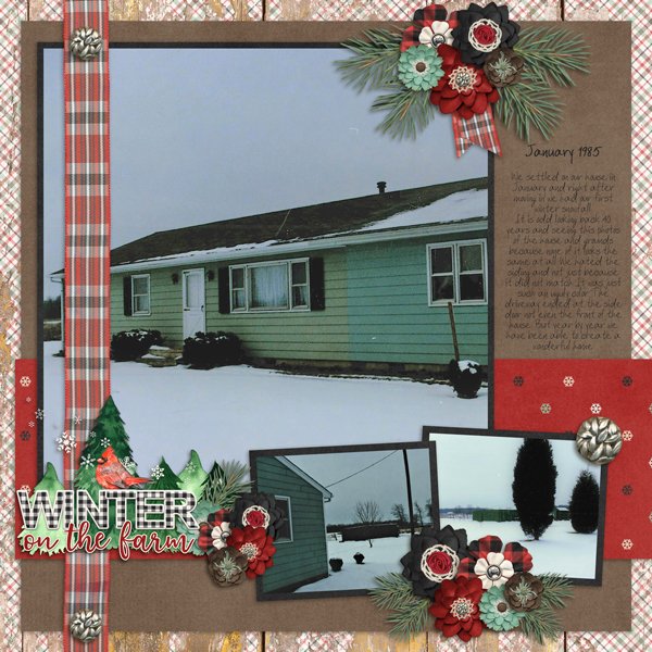 The Big Picture Vol 43 Temp #4 with Farmhouse Winter-Connie Prince.jpg