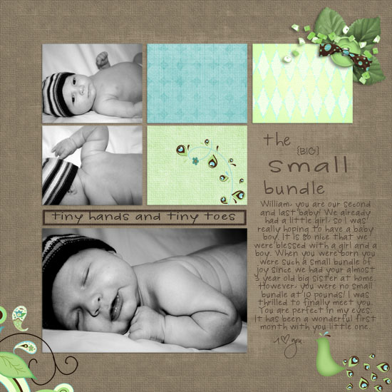 The Big Small Bundle