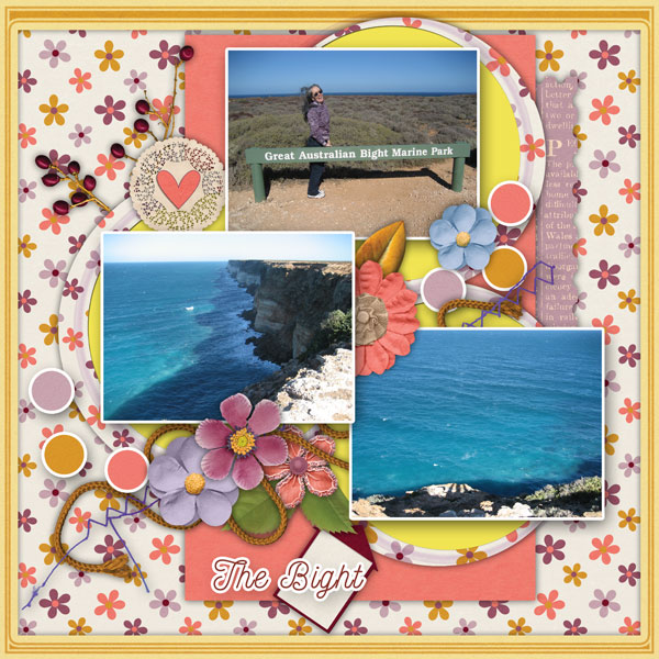 The Bight Memory