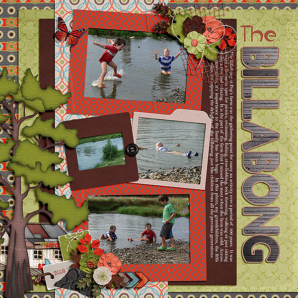 The Billabong