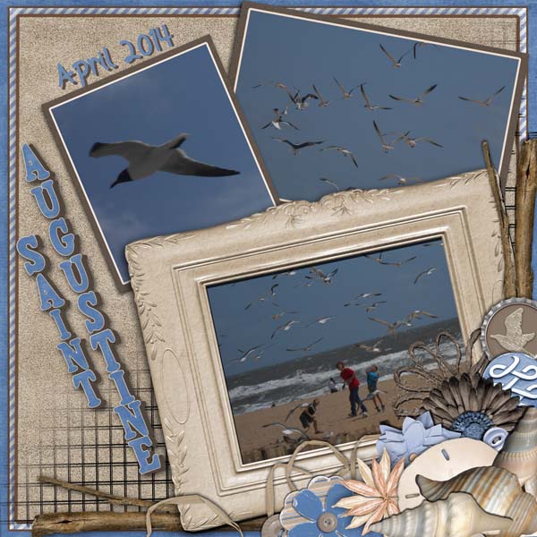 The Birds