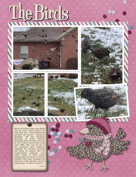 The Birds