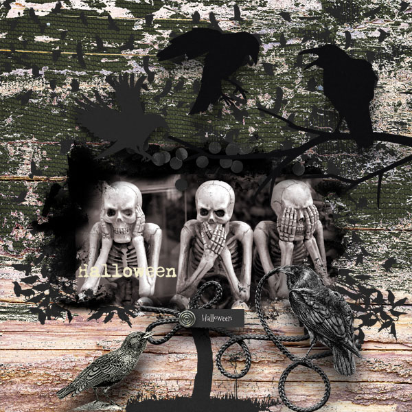 The Birds
