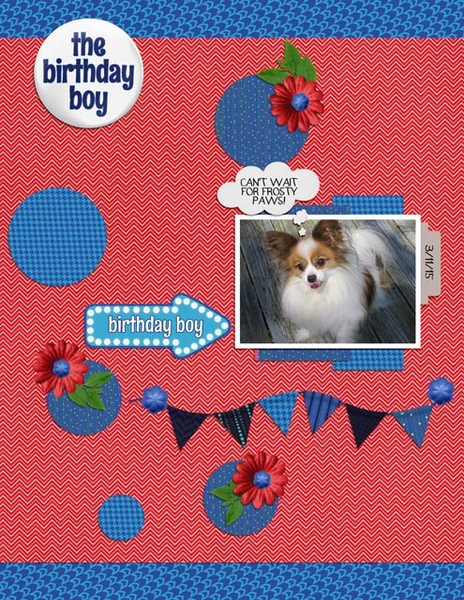 The Birthday Boy