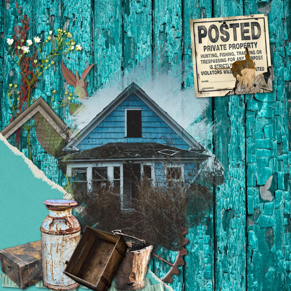 The Blue House