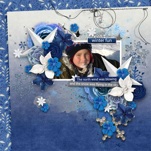 The Blue Season