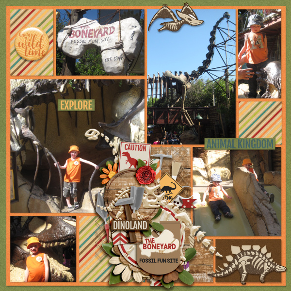 The Boneyard