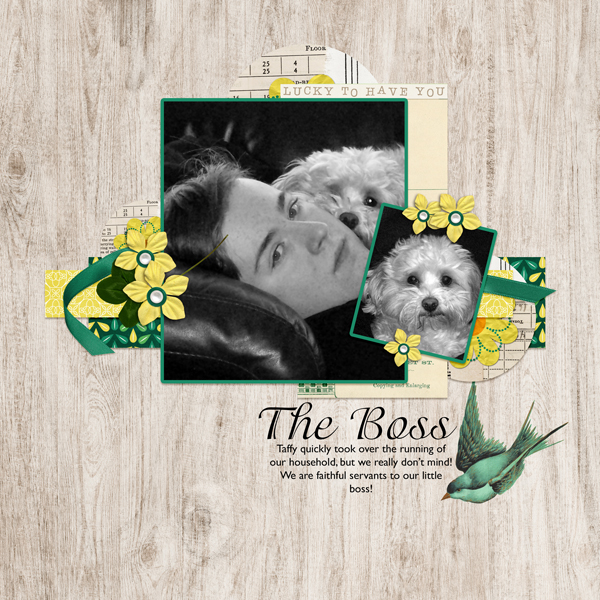The Boss