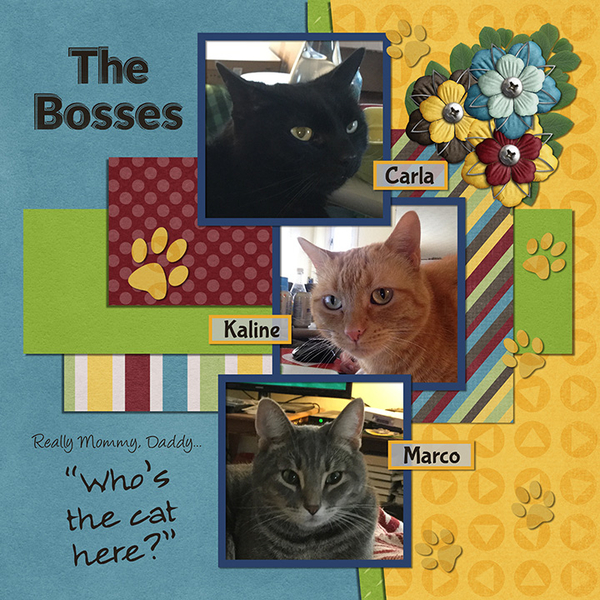 The Bosses